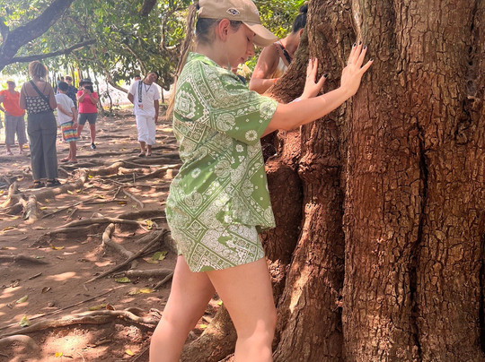 Luck Receptivo Maceió-Maceio必去景点