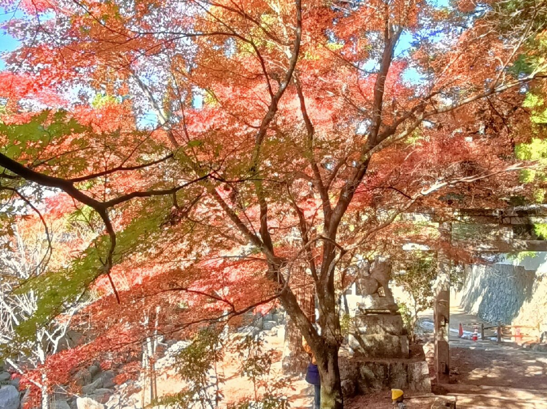 Daisho-in Temple-四日市市必去景点