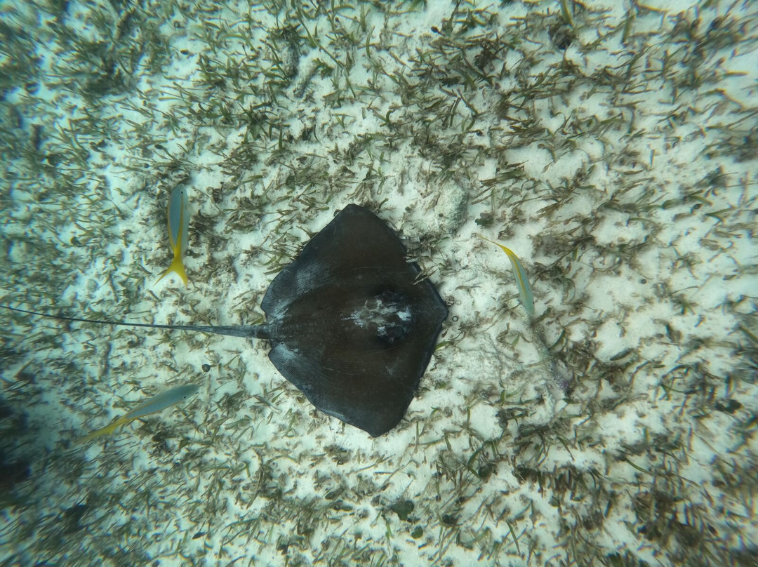 Atma-Ha Tours-从莫雷洛斯港必去景点