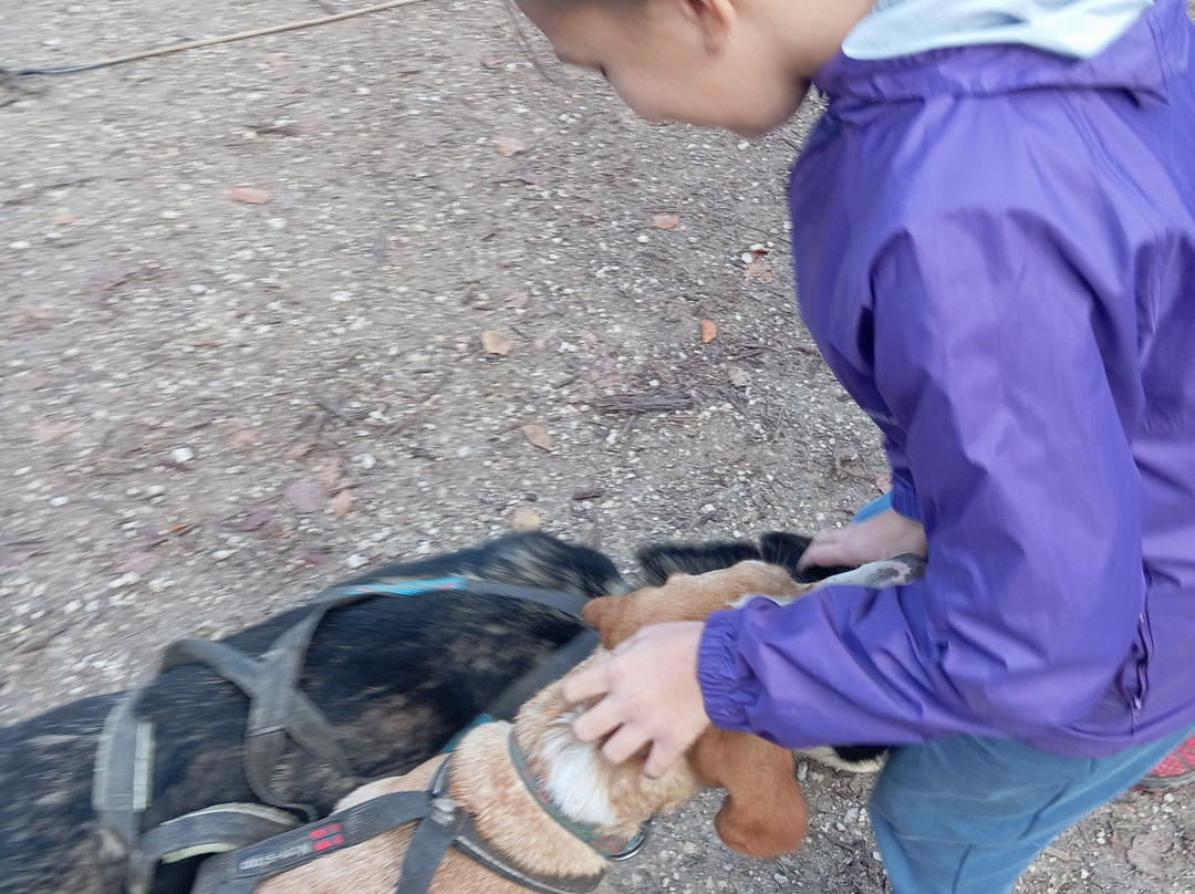 Evasion Canine景点图片