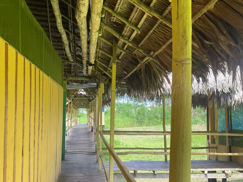 Lupuna jungle tours-伊基托斯必去景点