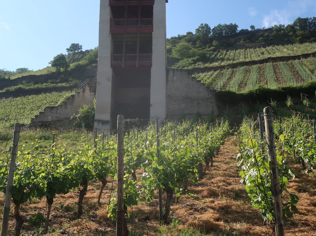 Postenturm-巴哈拉赫必去景点