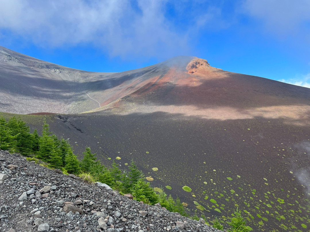 Mt.Fuji General Information Office景点图片
