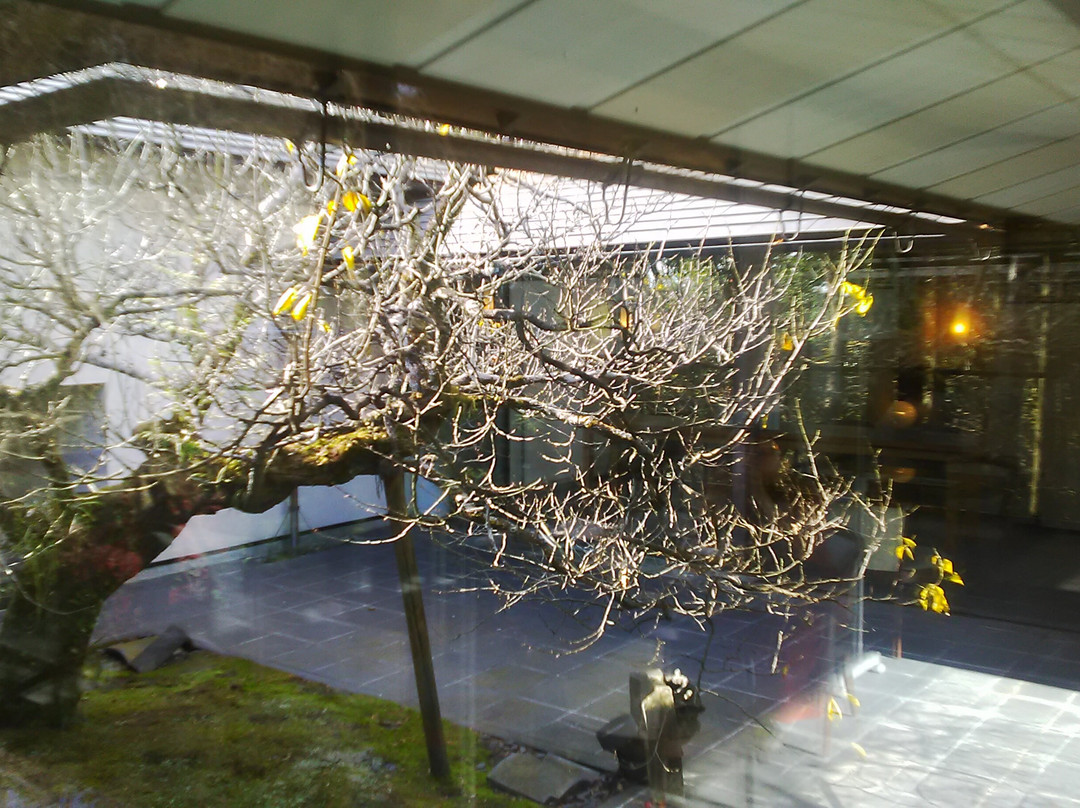 Iwazu Temmangu Shrine-冈崎市必去景点