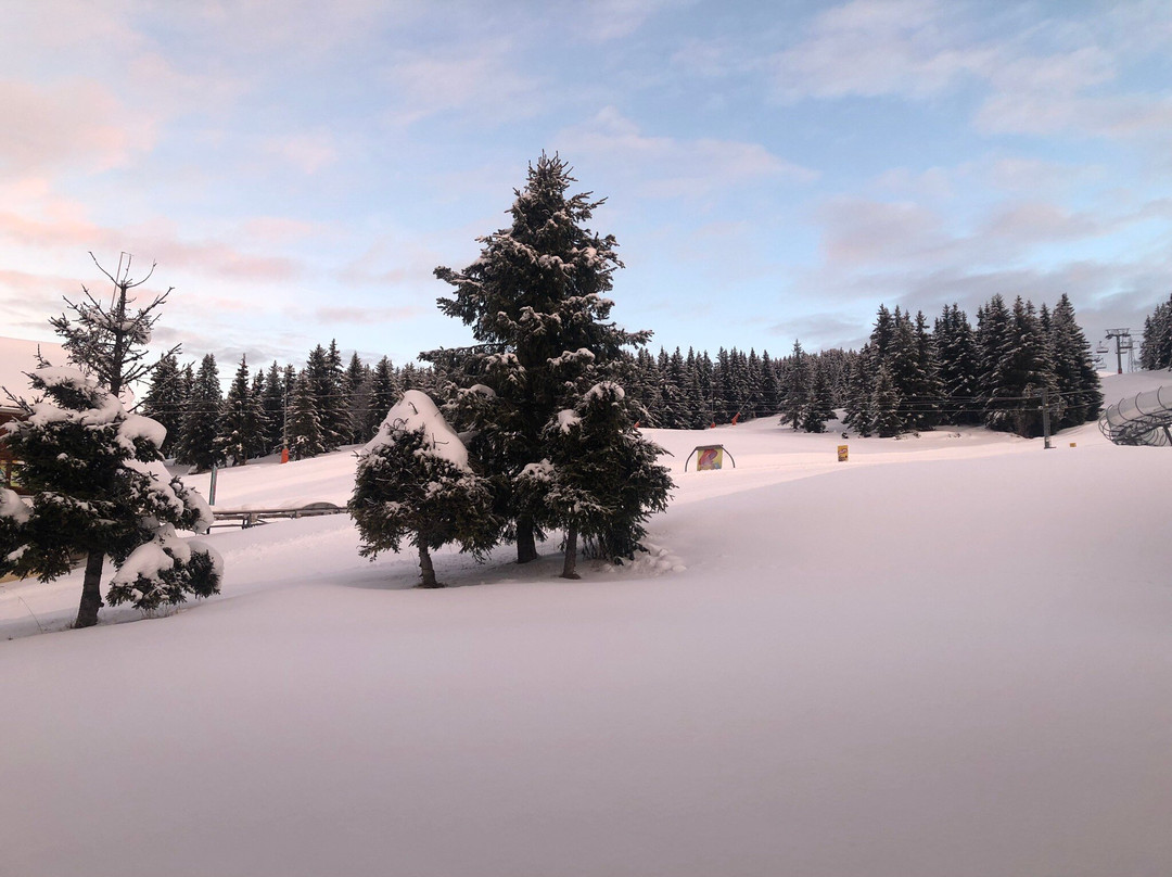 卡尔加里酒店主图