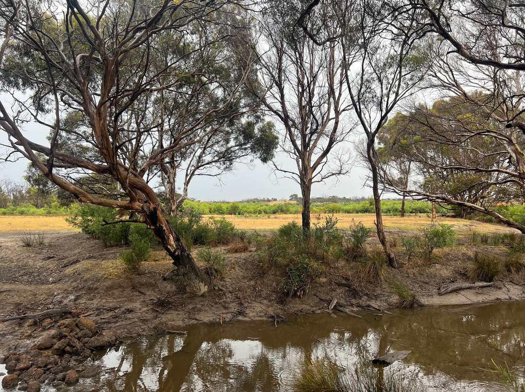 Kangaroo Island Bush Getaway Quad Bike (ATV) Tours景点图片