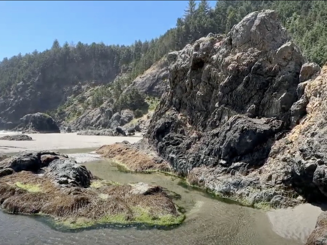 Whaleshead Viewpoint-布鲁金斯必去景点