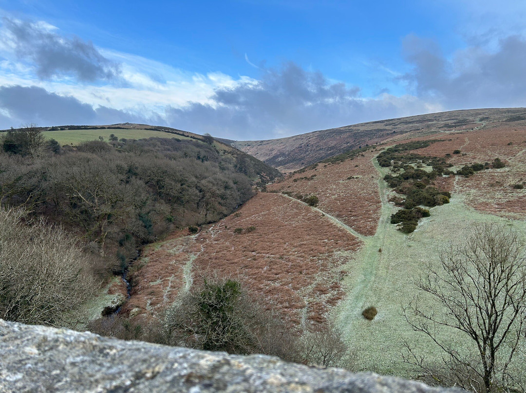 狐狸与猎犬酒店主图