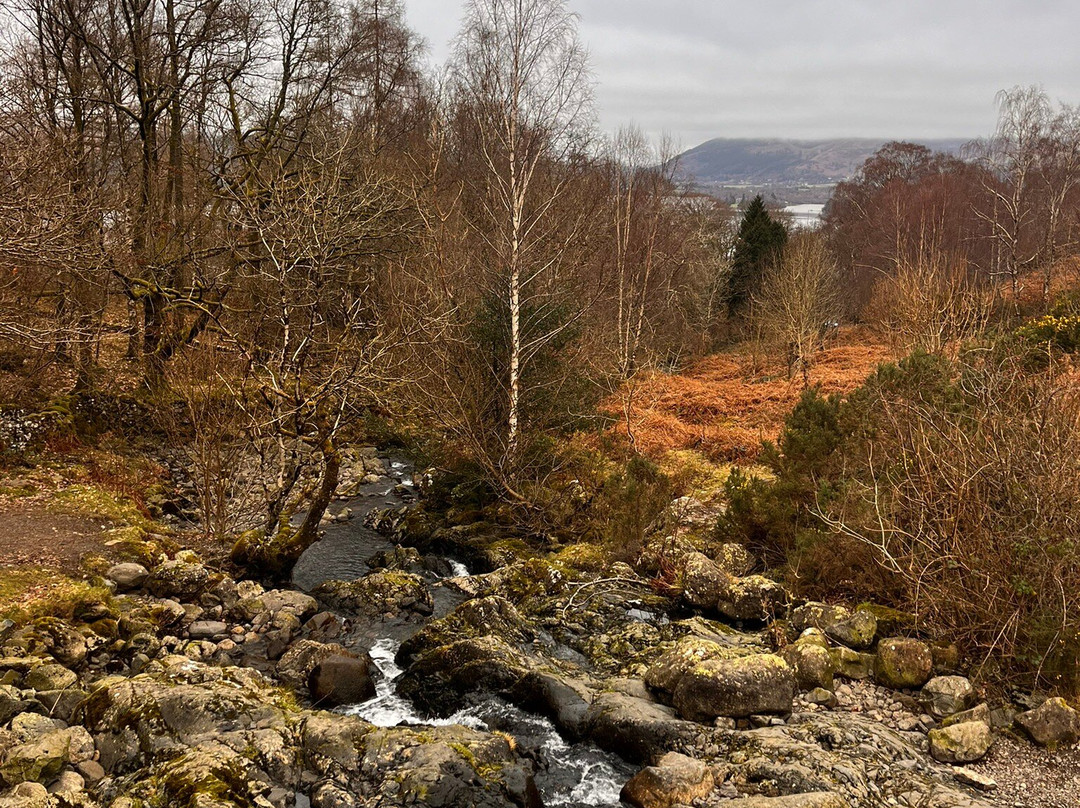 English Lakes Tours景点图片