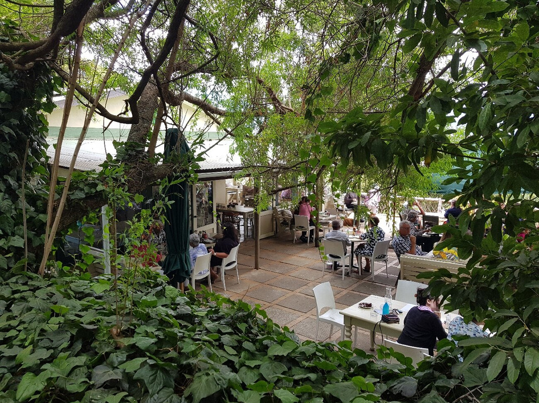 Chart Farm-开普敦中心区必去景点