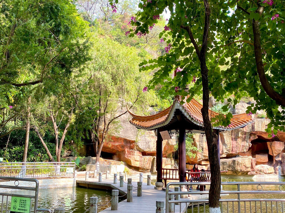 长安公园-东莞市必去景点