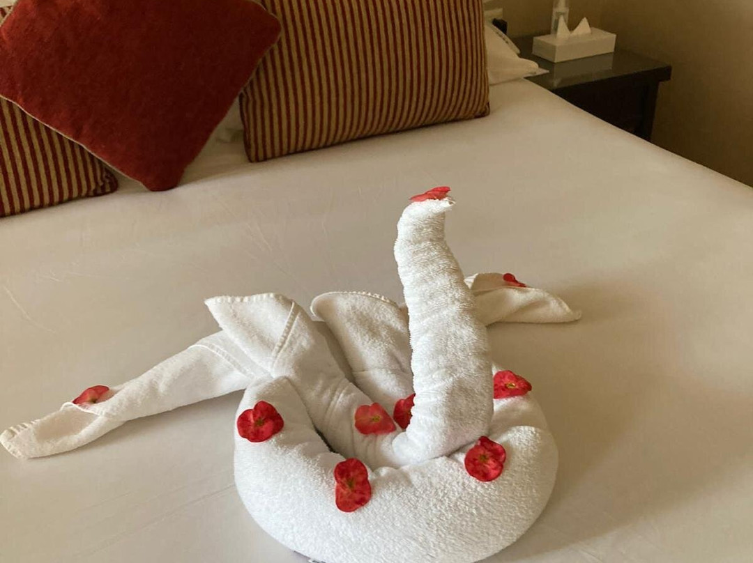 马卡迪绿洲伊波罗度假酒店主图