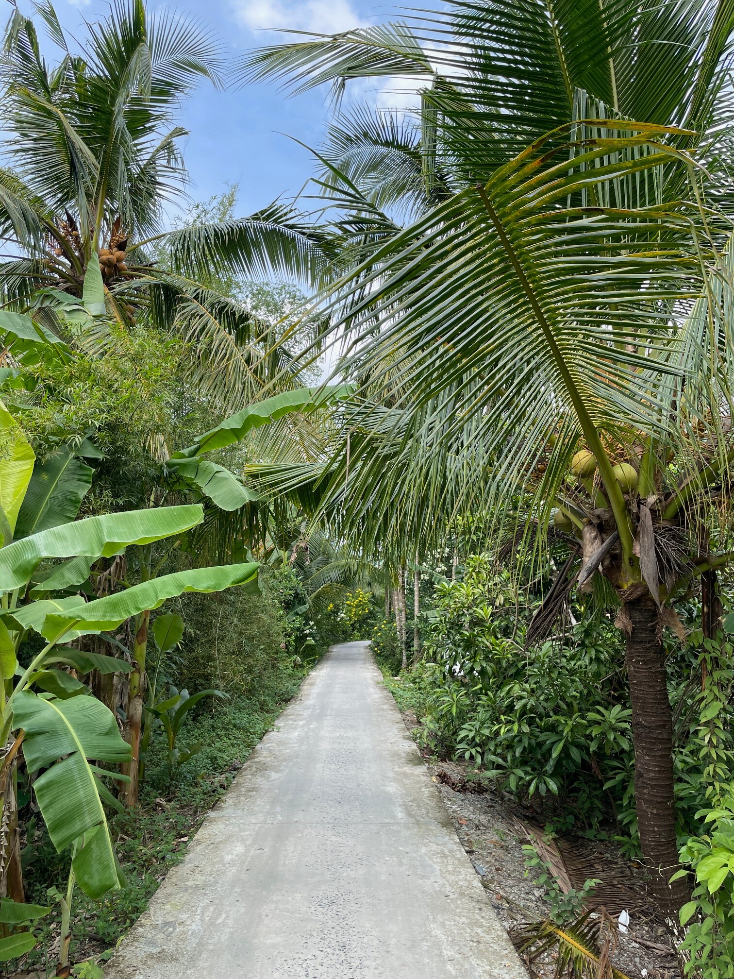Bamboo Eco Village-浴室