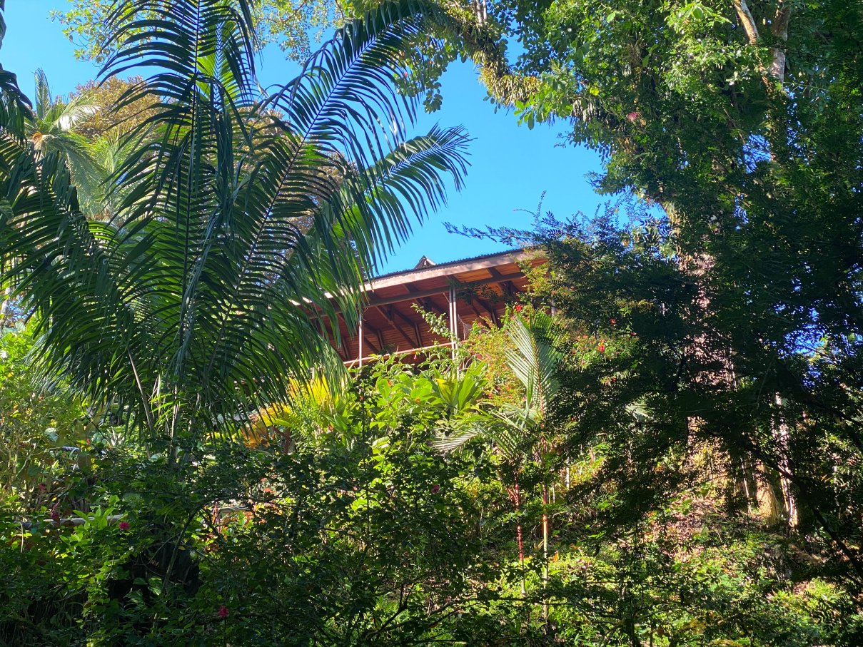 Aguila de Osa Rainforest & Marine Adventure Lodge-酒店景观