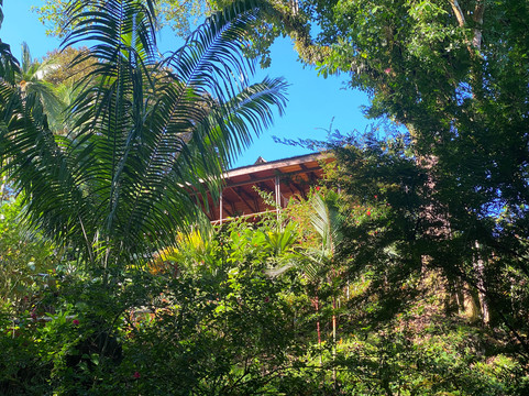 Aguila de Osa Rainforest & Marine Adventure Lodge主图