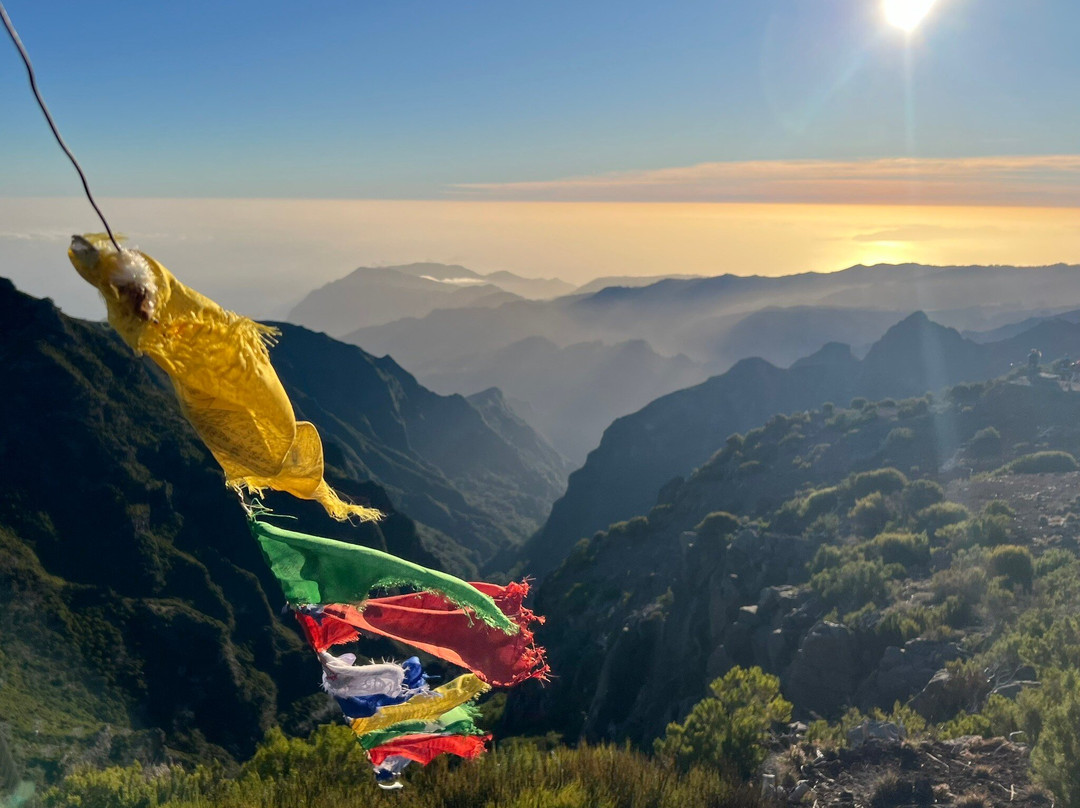 Pico Transfers-沙尔必去景点