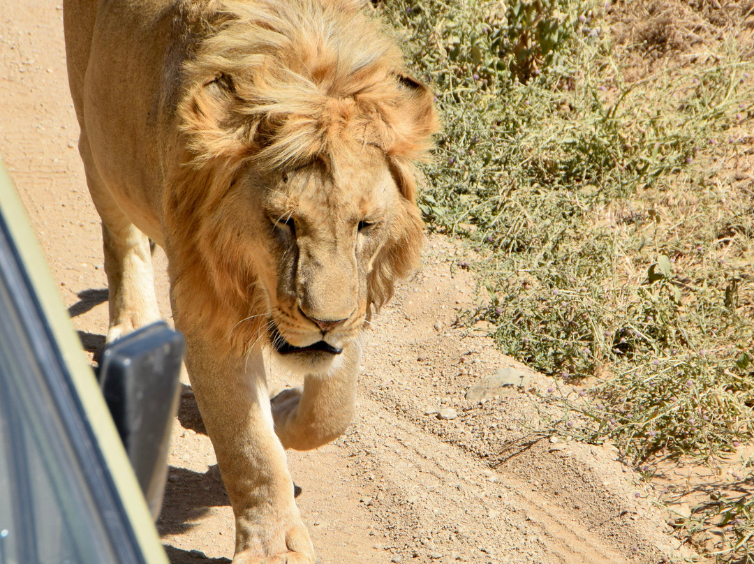 Tour with Kunta-阿鲁沙必去景点