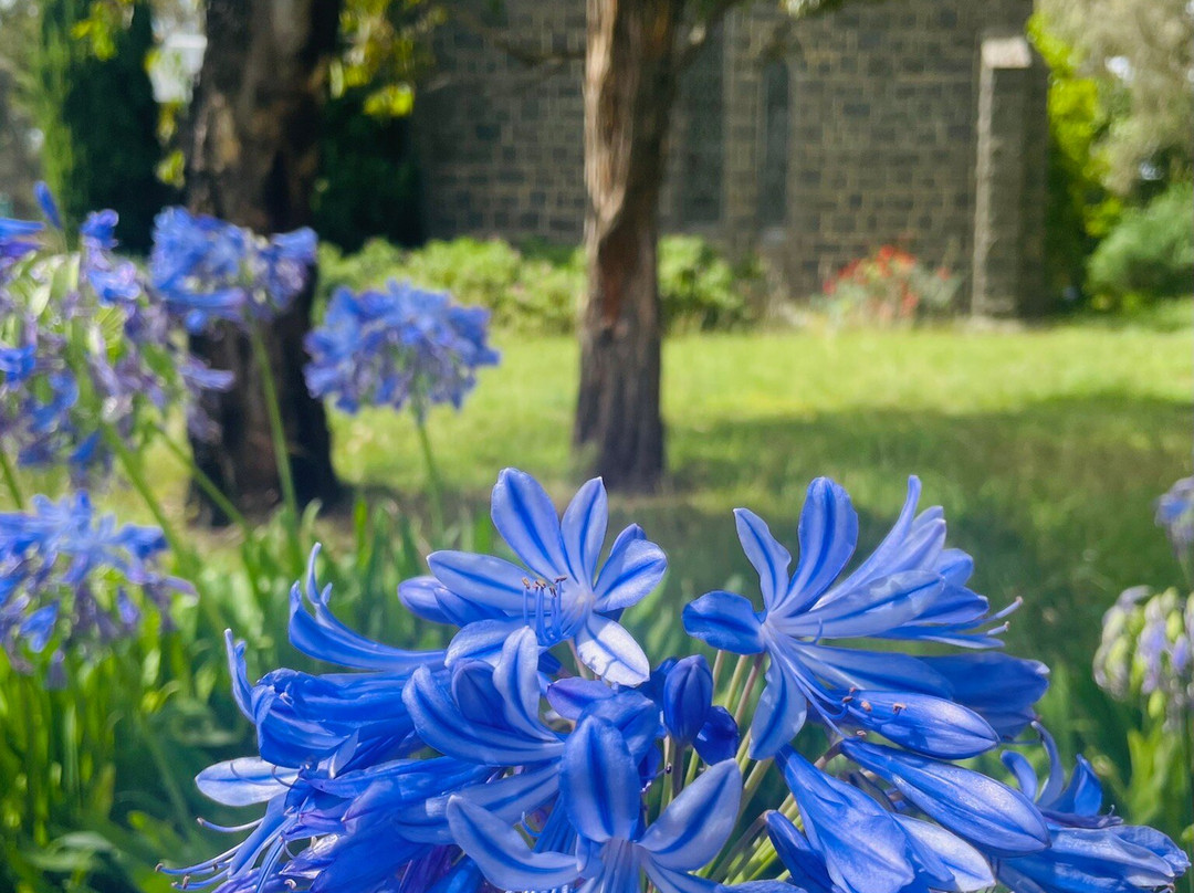 Saint Marys Anglican Church- former景点图片
