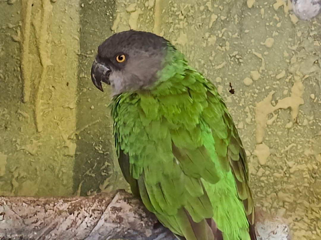 Pookot Lake-卡尔贝塔必去景点