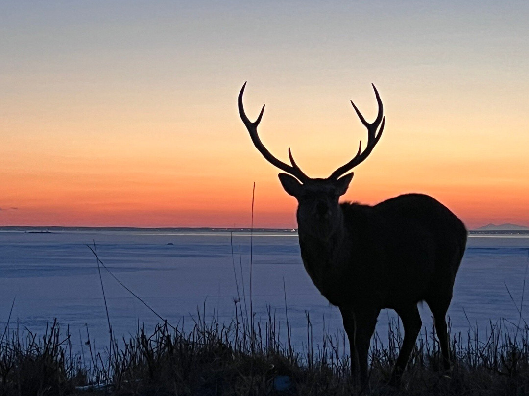 Notsuke Peninsula-别海町必去景点
