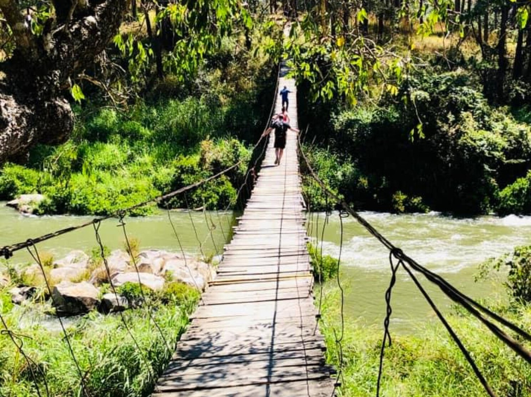 Vietnam Bike Adventures - Day Tours景点图片