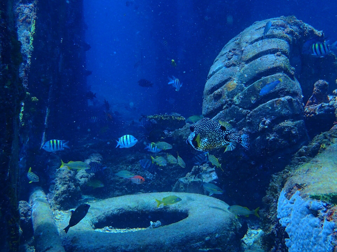 Reefers & Wreckers Dive Shop景点图片