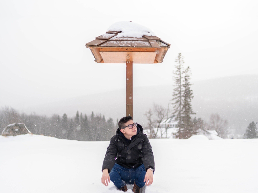 Bretton Woods at Mount Washington Resort-布雷顿森林必去景点