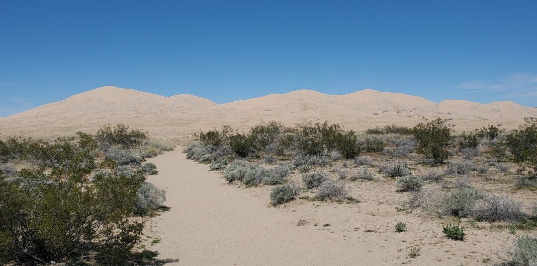 Kelso Dunes景点图片