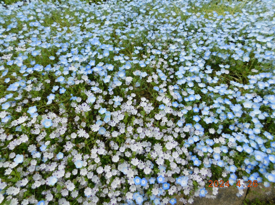 Umami-kyuryo Park-河合町必去景点
