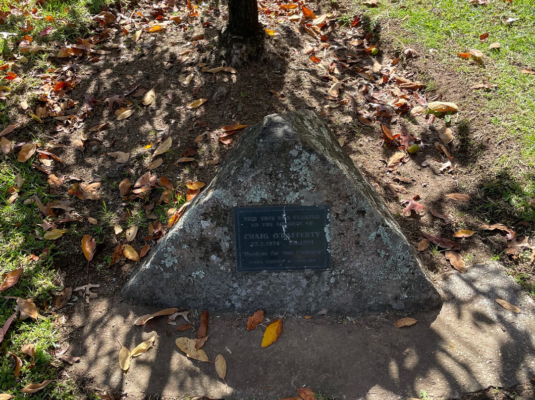 Memorial Park-Junee必去景点