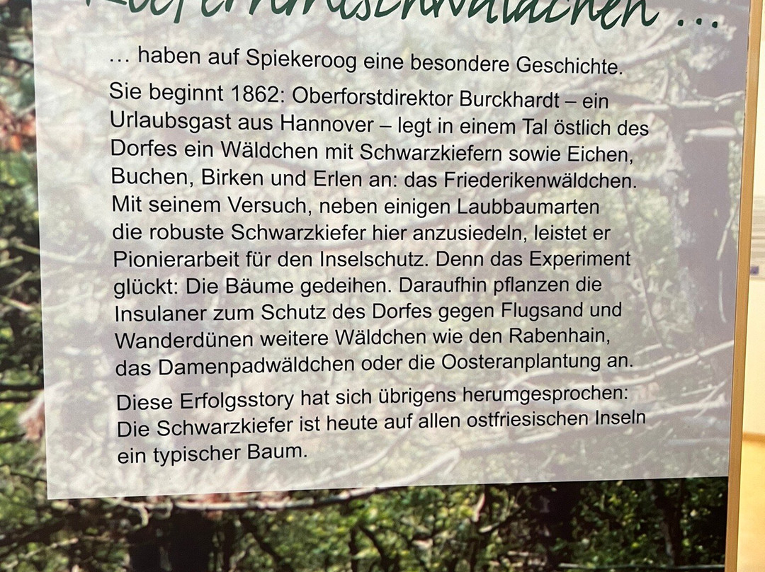 Nationalpark-Haus Wittbulten-斯匹科罗格必去景点