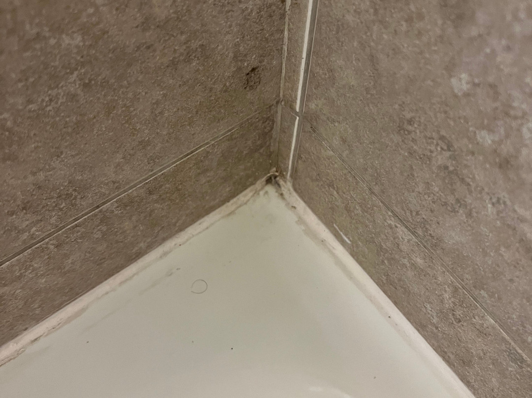 Econo Lodge Inn & Suites主图