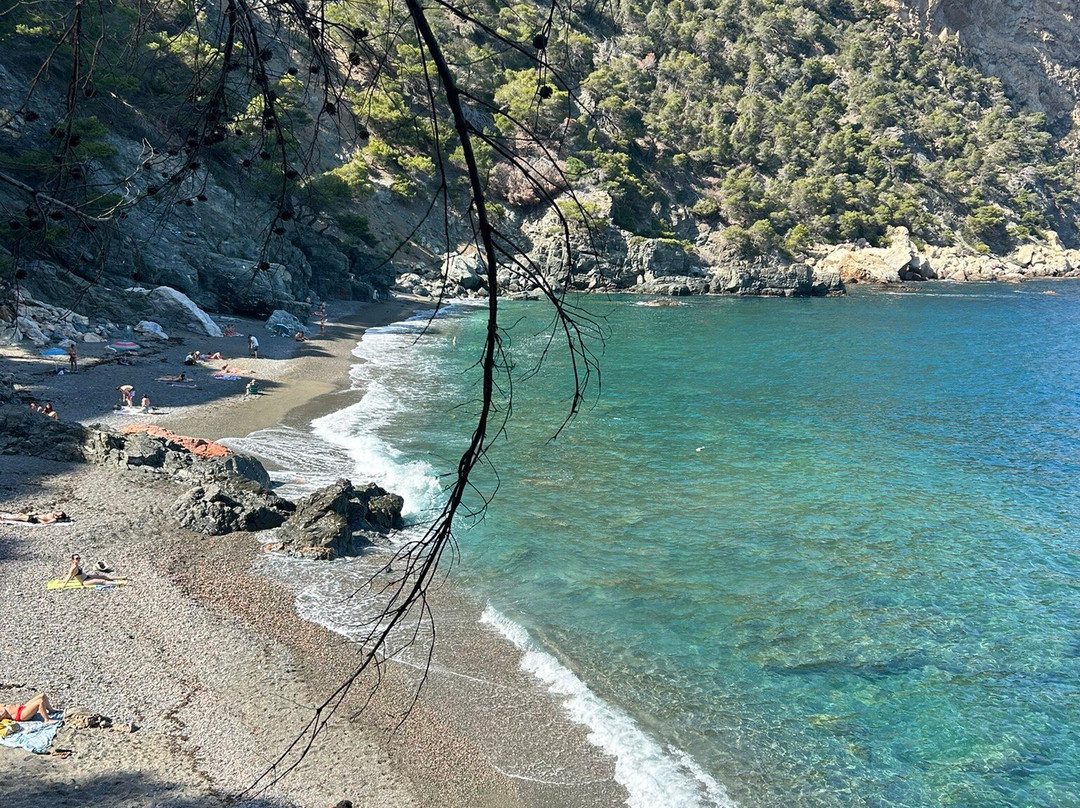 Playa Fonda景点图片