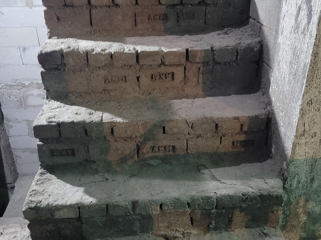 Hotel Alpine View主图