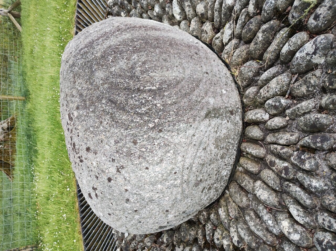 Castlestrange Scribed Stone-Boyle必去景点
