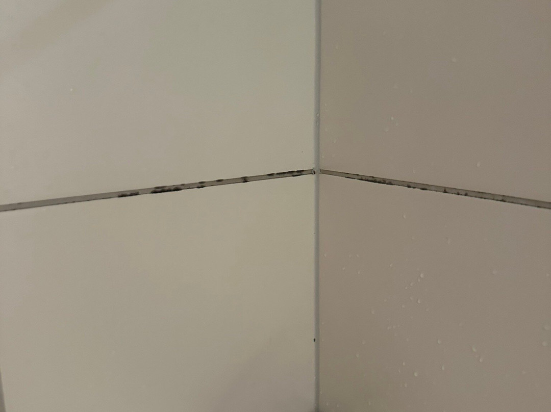 Best Western Hotel Am Walserberg主图