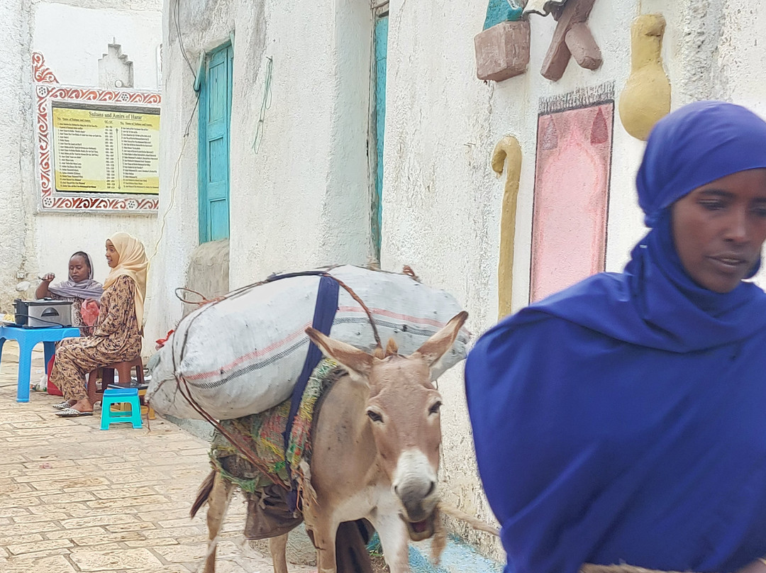 Bini Harar Tours景点图片