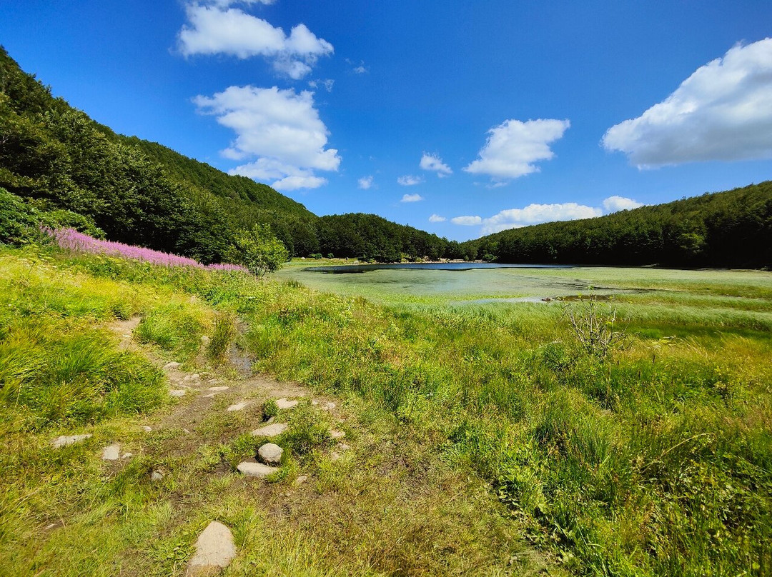 Lago Baccio景点图片