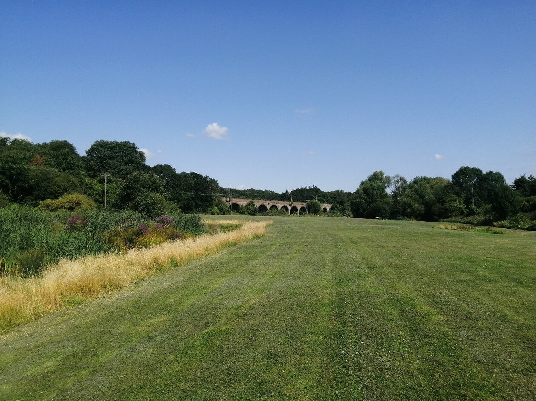 Davy Down Country Park景点图片