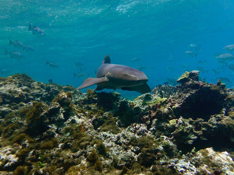 Caribe Extremo-圣安德烈斯必去景点