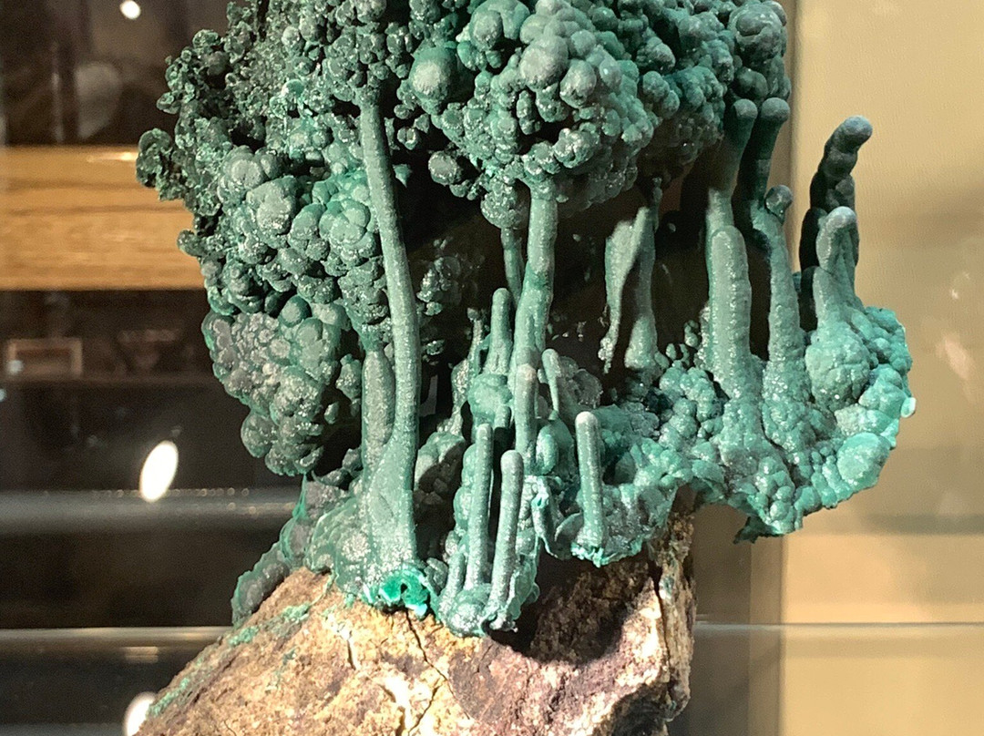 George S. Eccles Dinosaur Park-奥格登必去景点