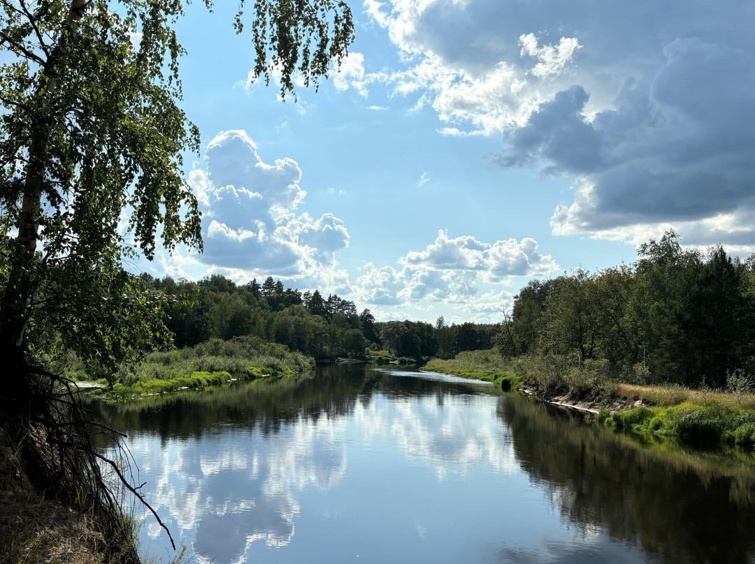 Oksky State Nature Biosphere Reserve-Brykin Bor必去景点