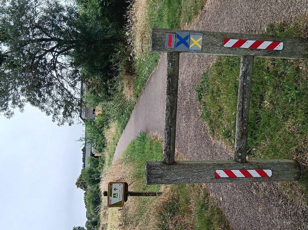 Parc Des Arnaudières景点图片