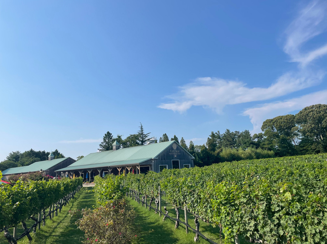 Cape May Winery & Vineyard景点图片