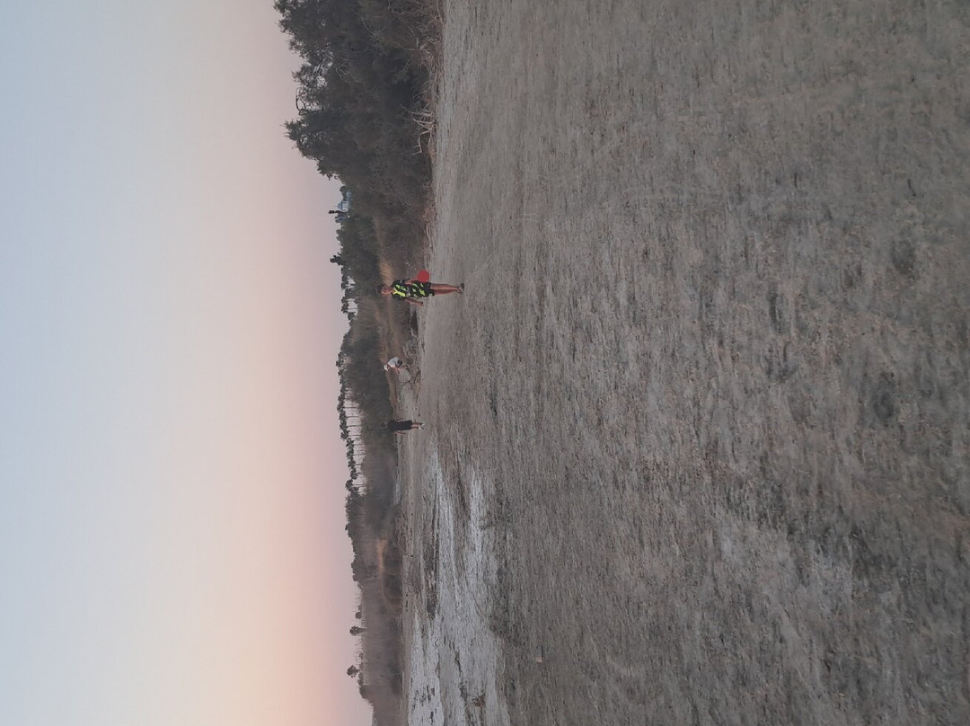 Oasis Apartments, Kos主图