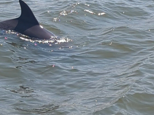 Caribe Cruiser-橙色海湾必去景点