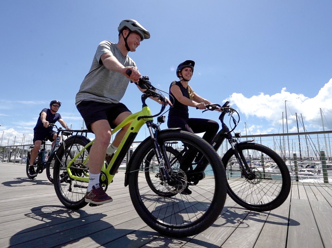 Bionic Electric Bikes景点图片