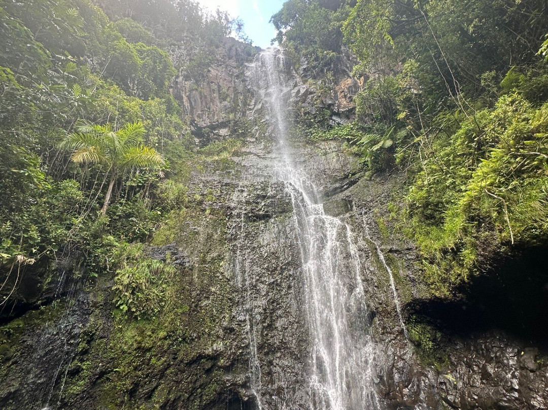 Wailua Falls景点图片