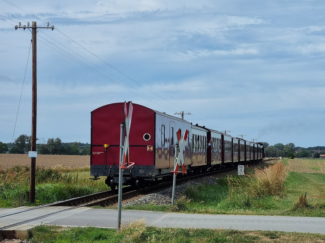 The Mollie Steam Train景点图片