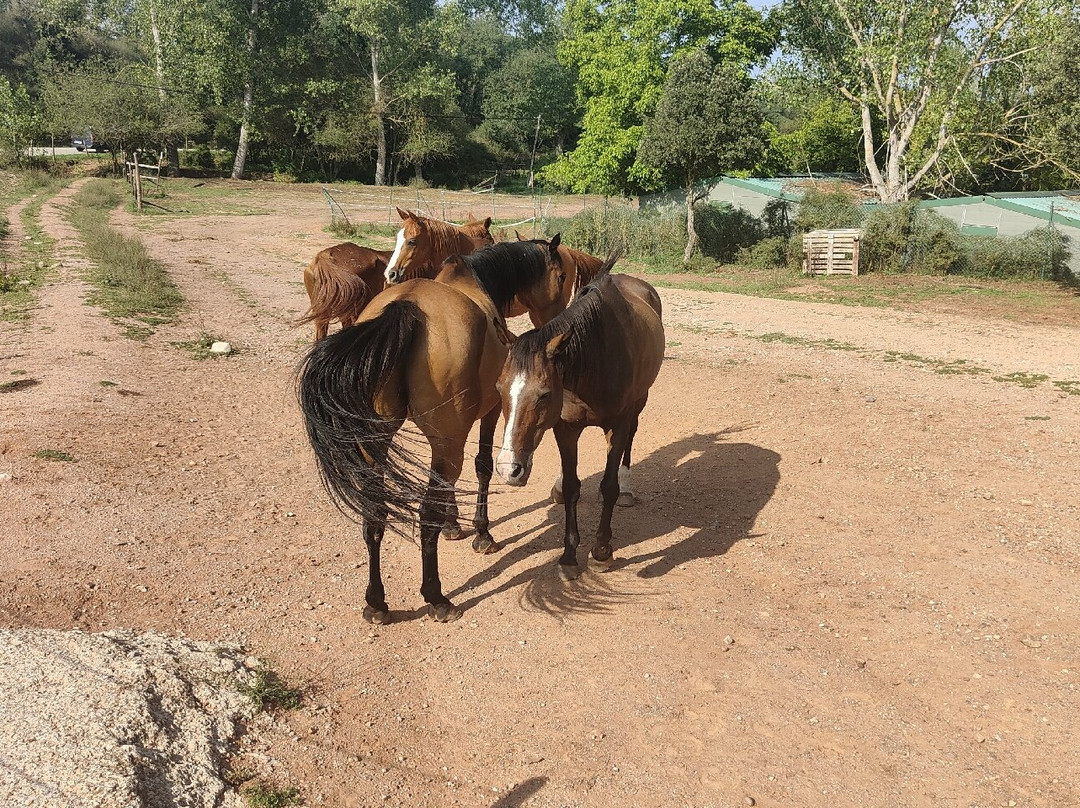Hostal La Guineu主图